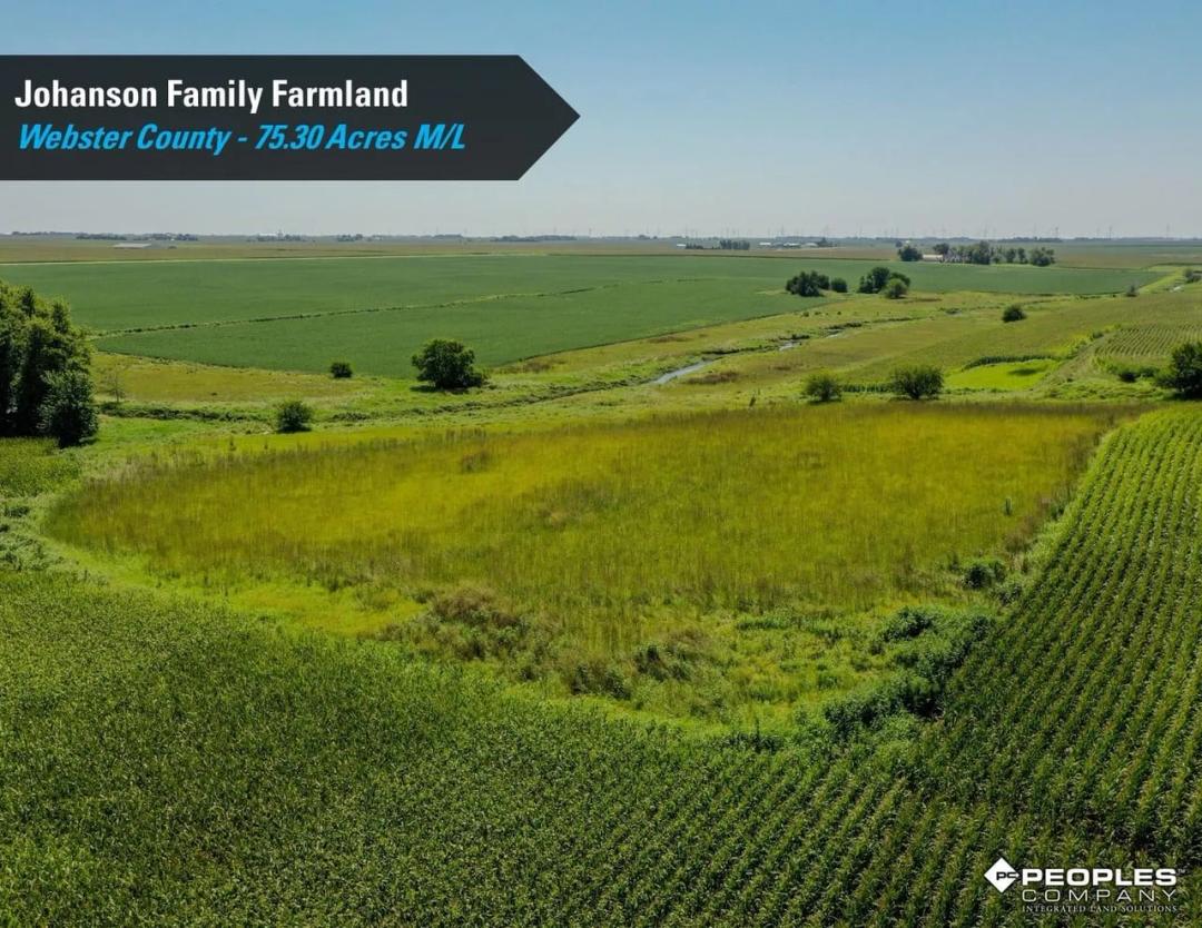 Listing #18546 - 75.30 acres in Webster County, IA