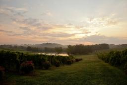 efp_110822_chaumette-vineyard_0325