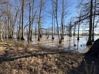 Bayou Bonne Idee Lot