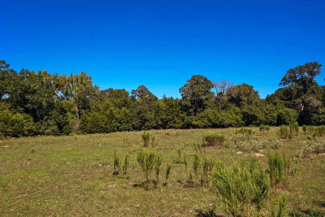 11041 Jackrabbit Lane