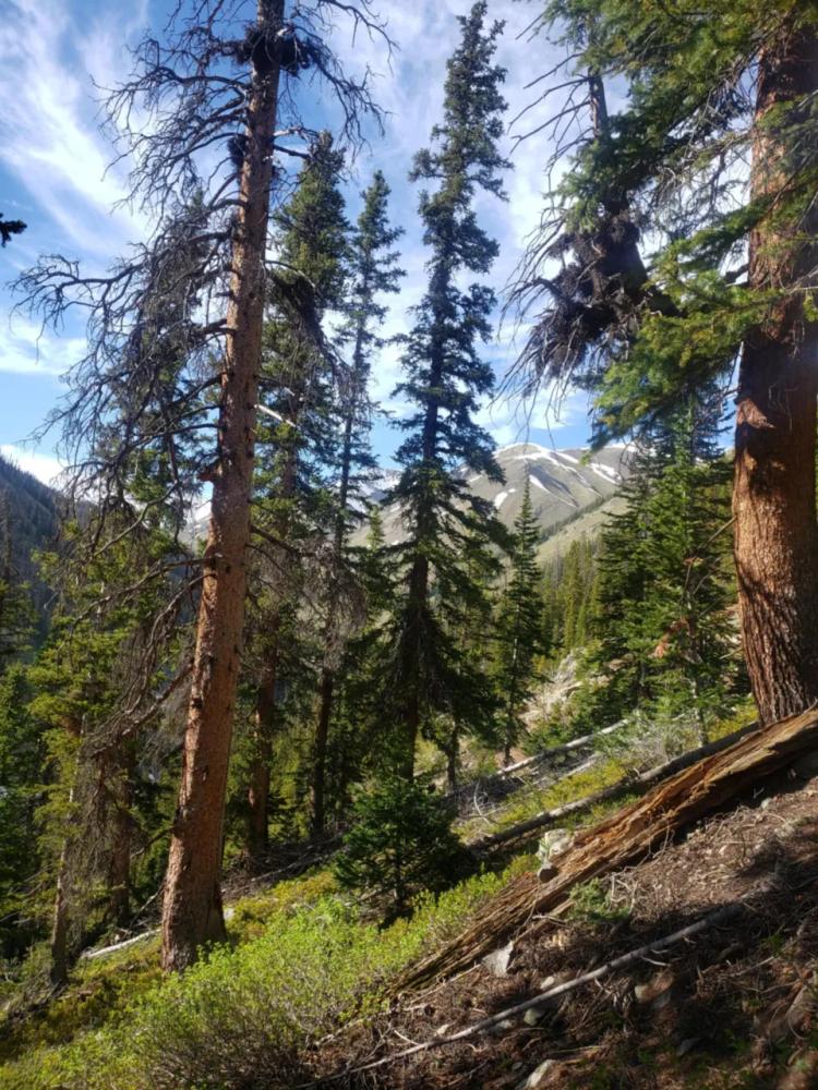 10 Acres in the San Juan Mountains - Promontory Patented Mining Claim above the Animas River