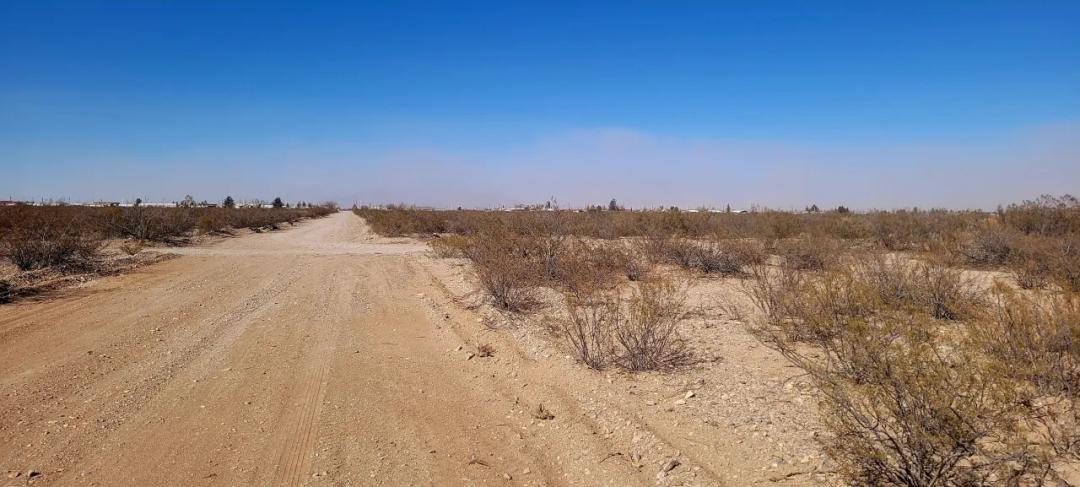 2 adjoining Columbus New Mexico Town Lots
