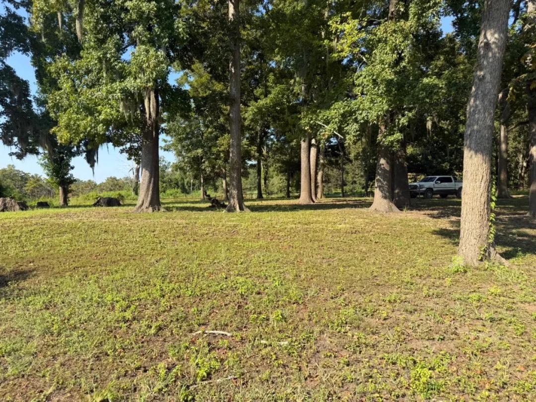 3.92 AC M/L LAKE MARY RD, WOODVILLE, MS 39669