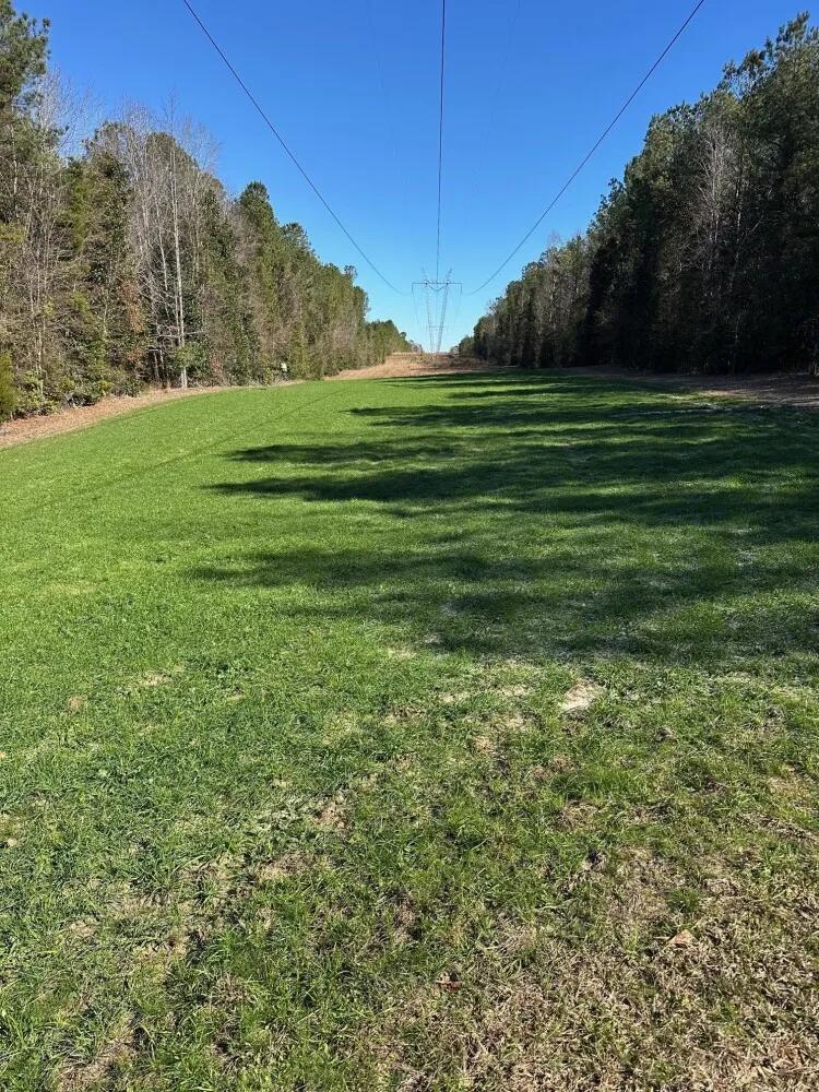 200.00 Acres at 0 County Road 425