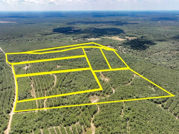 21 Acres | CR 1420 | T-10