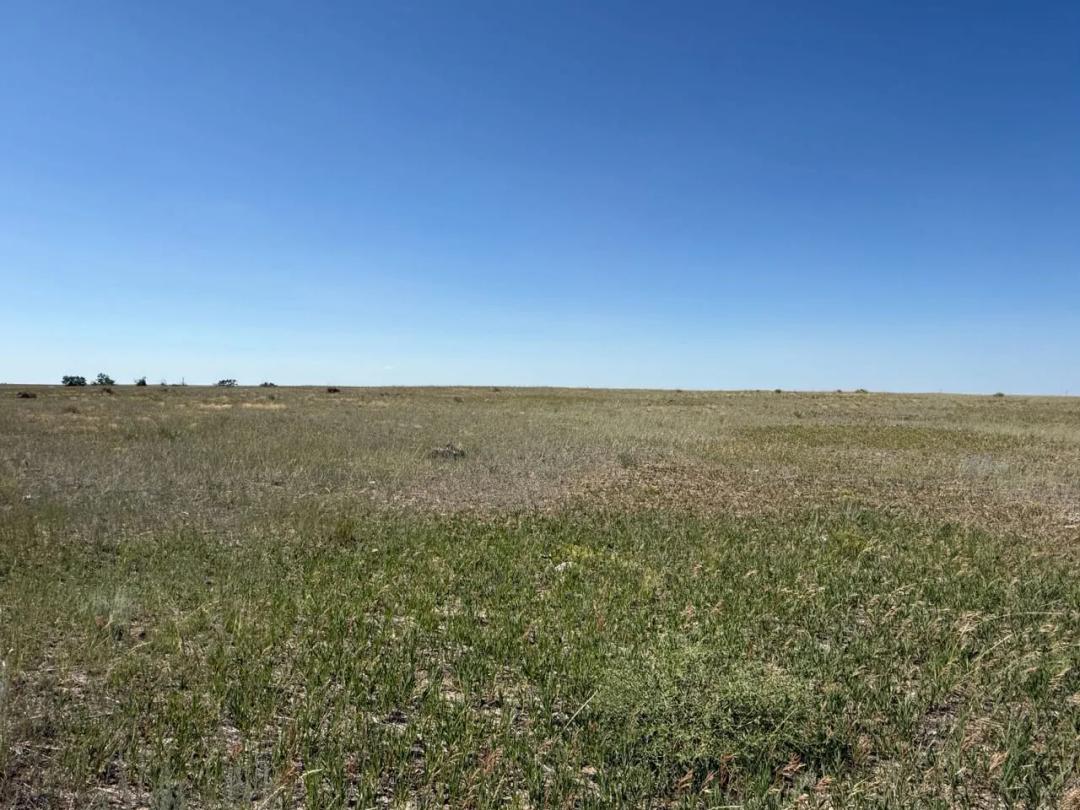 312 Acres Grazing Land for Sale, Goshen County Wyoming
