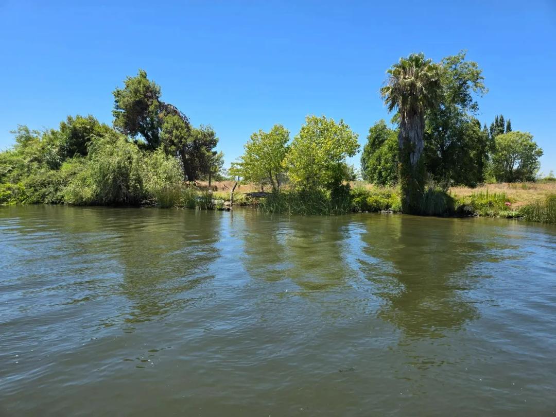 Morrison Island, San Joaquin Delta
