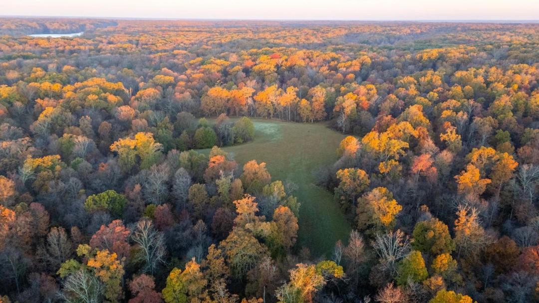 Endless Acres Wildlife Farms South