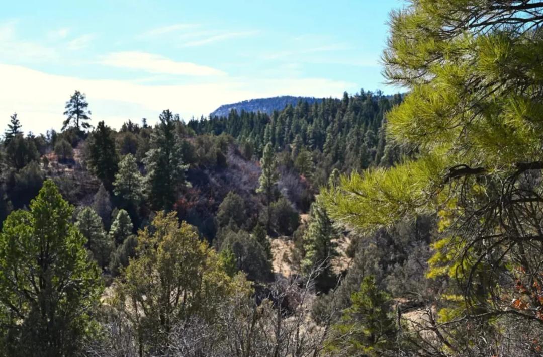 Rolling Hills, Mountains, above Vado Lake New Mexico. No Restrictions