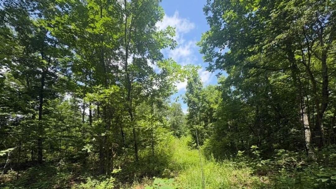 140±AC of Prime Recreational Land in Reynolds Co.