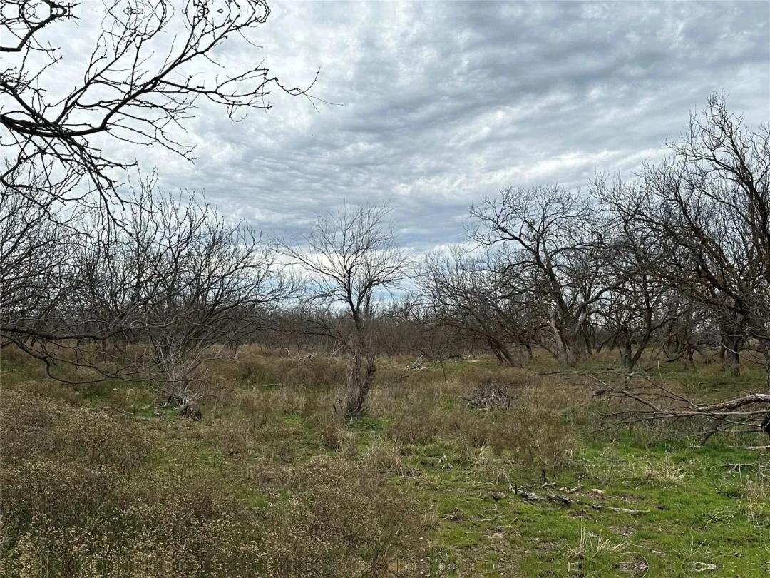 New Listing! 13+/- Ac (Tr 23 split), Callahan County