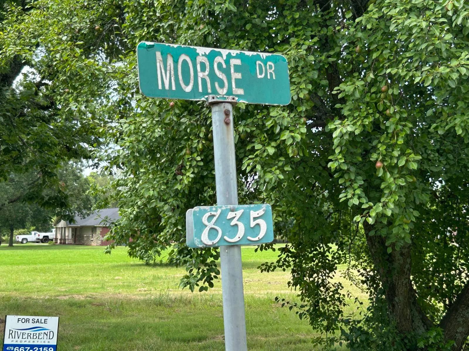 91799386-2