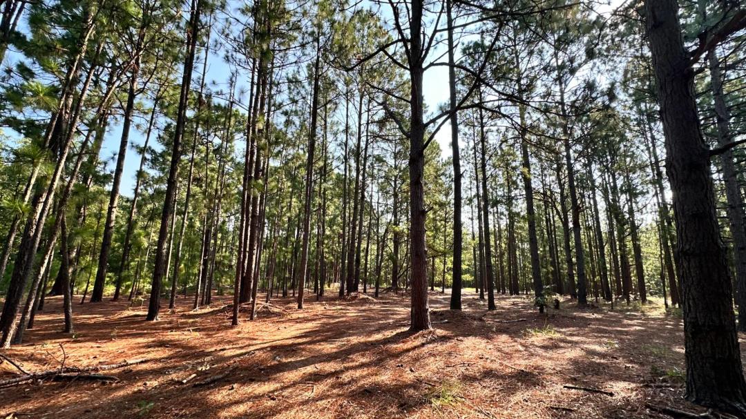 39.69 Acres at 0 Garden Valley Drive