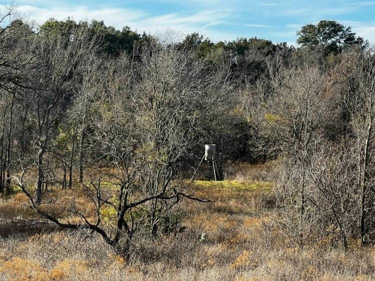 13.35 Acres with Tank &amp; Creek Frontage