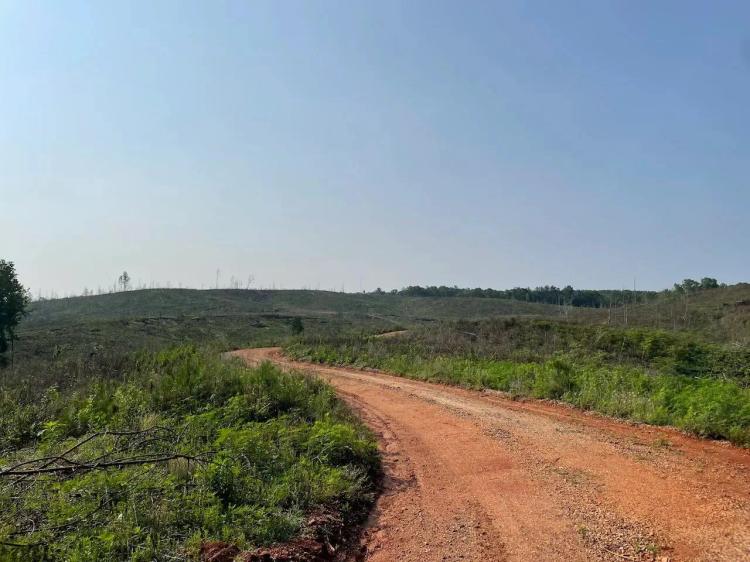 112 +/- acres on C.R. 131