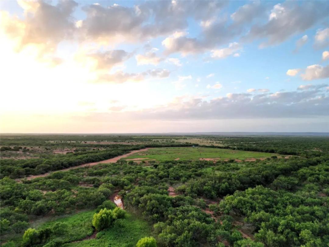 New Listing!!! 31+/- Ac (Tr 2), Taylor County