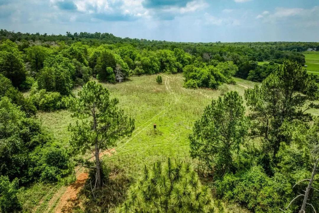 Taylor Mountain Ranch