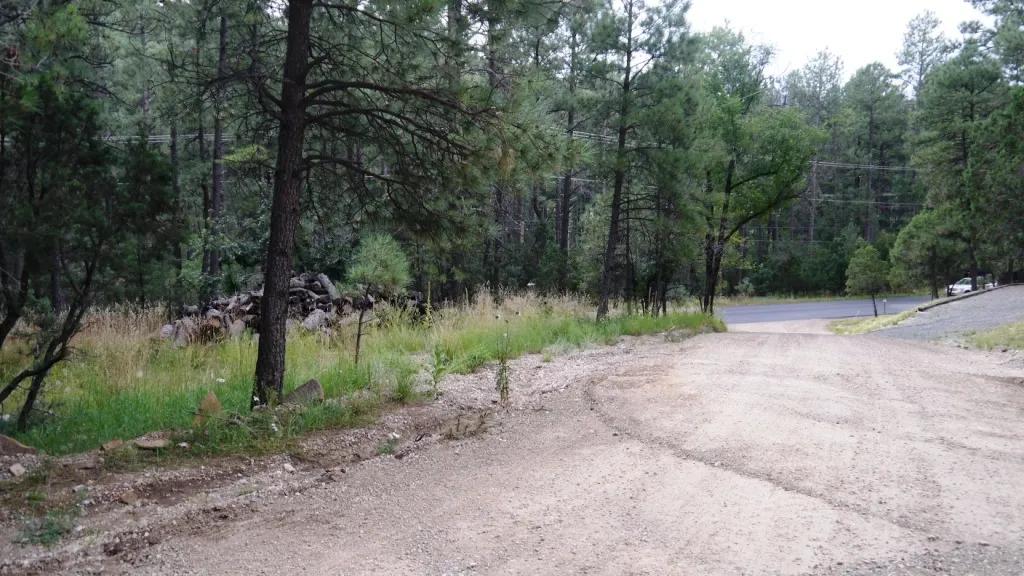 Ruidoso New Mexico Treed Lot