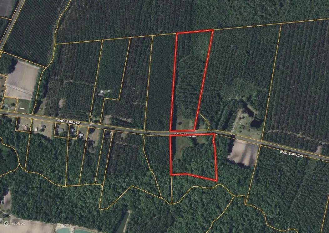 24-Acre Timberland & Hunting Property Near New Bern, NC