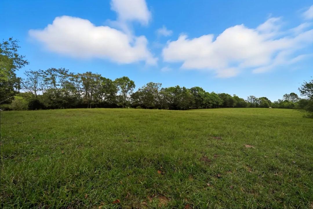 64.5 ± Acres – Fenced Tennessee Farm with Pasture, Timber & Utilities in Sparta, TN