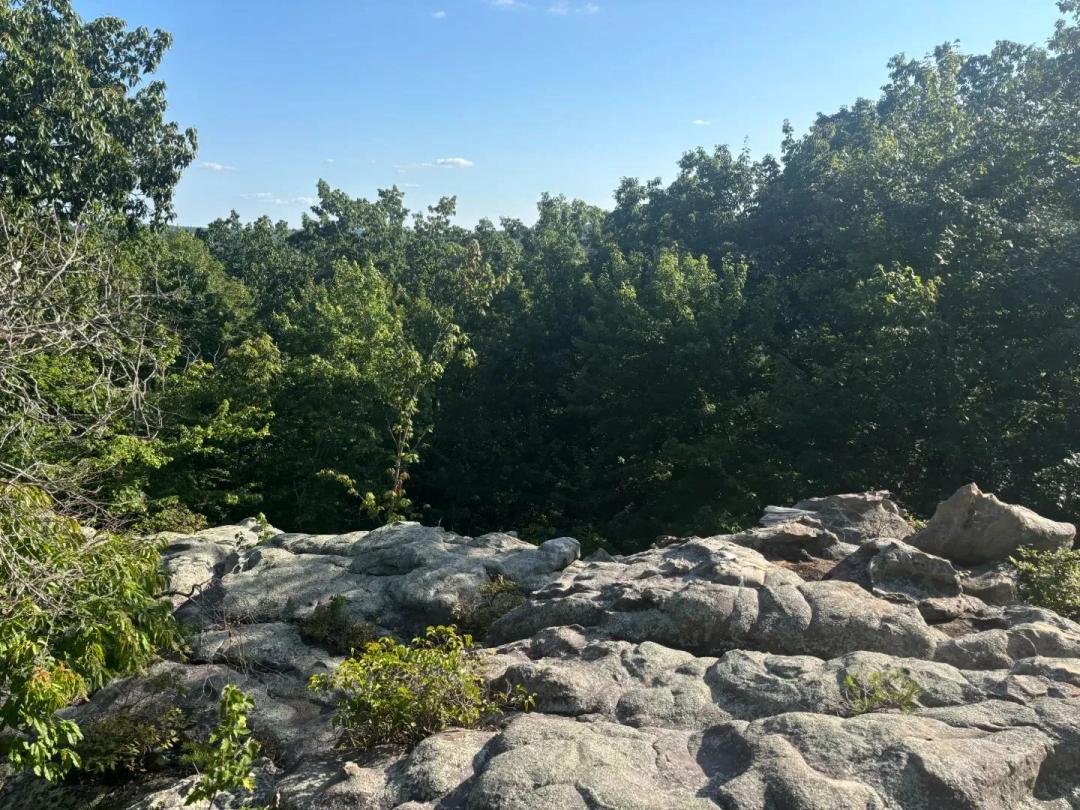 12.21 Acres in Bledsoe County, TN
