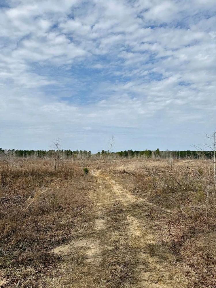 51 Acres in Kemper County, MS 