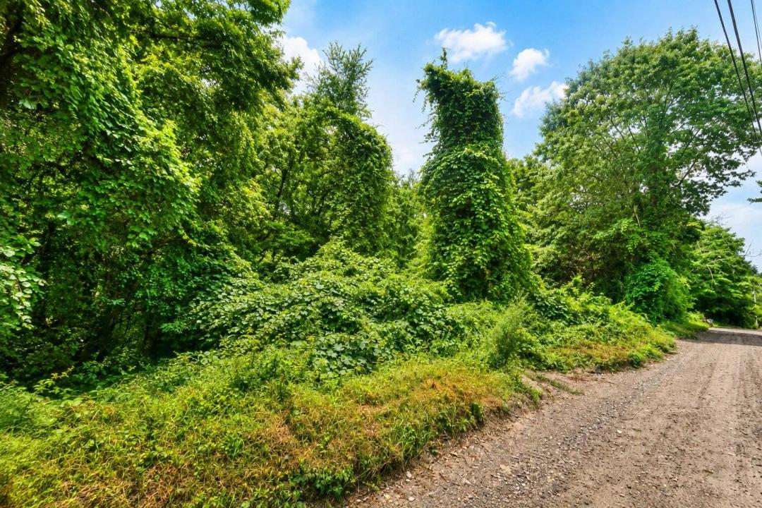 9.00 Acres at 73 Peep Toad Road