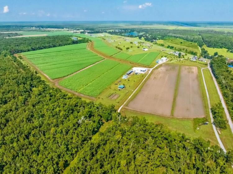 RIDGELAND FARMS - 1,800 Acres in Terrebonne Parish, LA