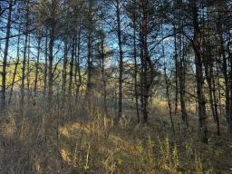 Erin Marsh Rd Lot 5 4