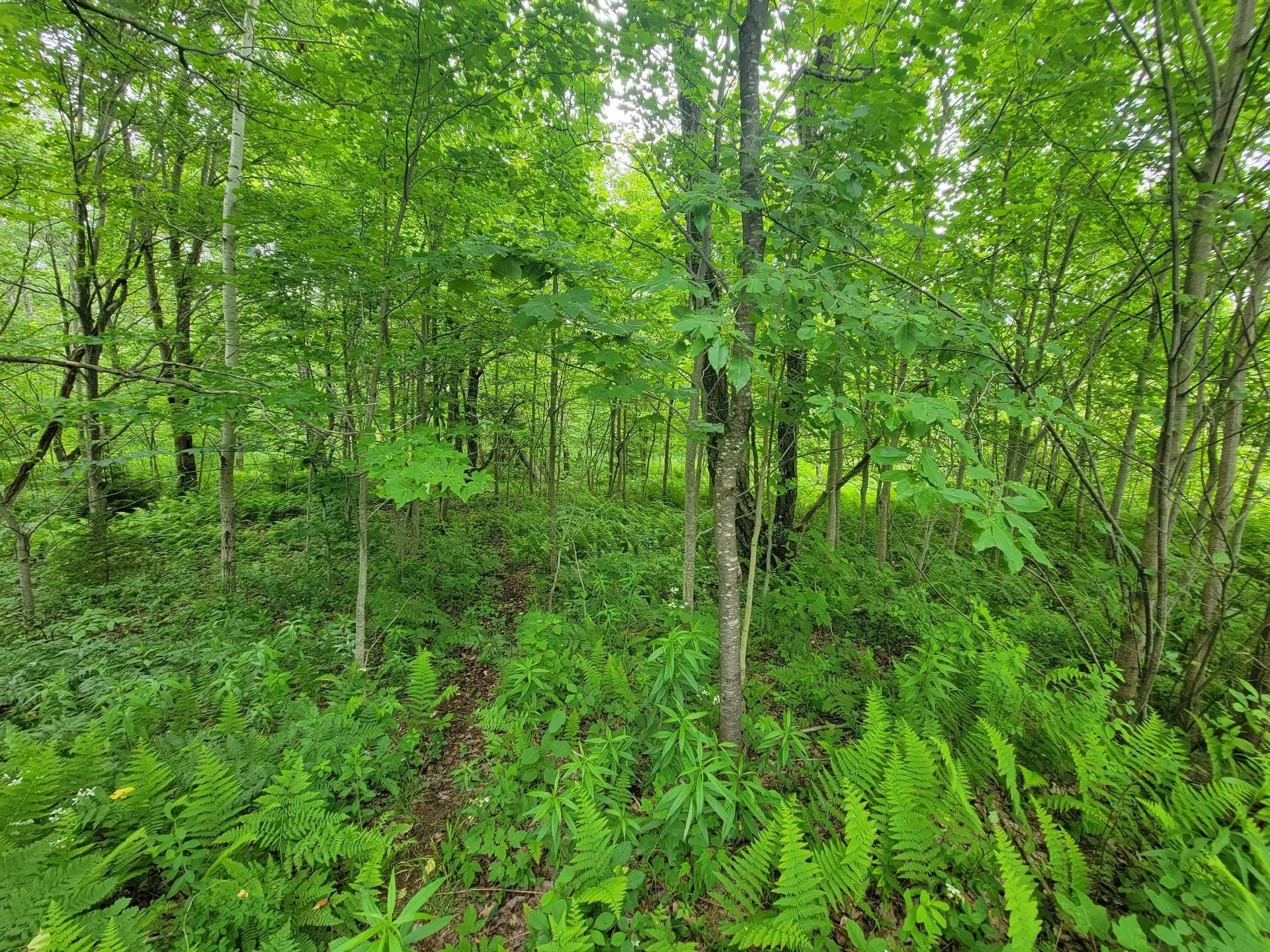 92073443-10