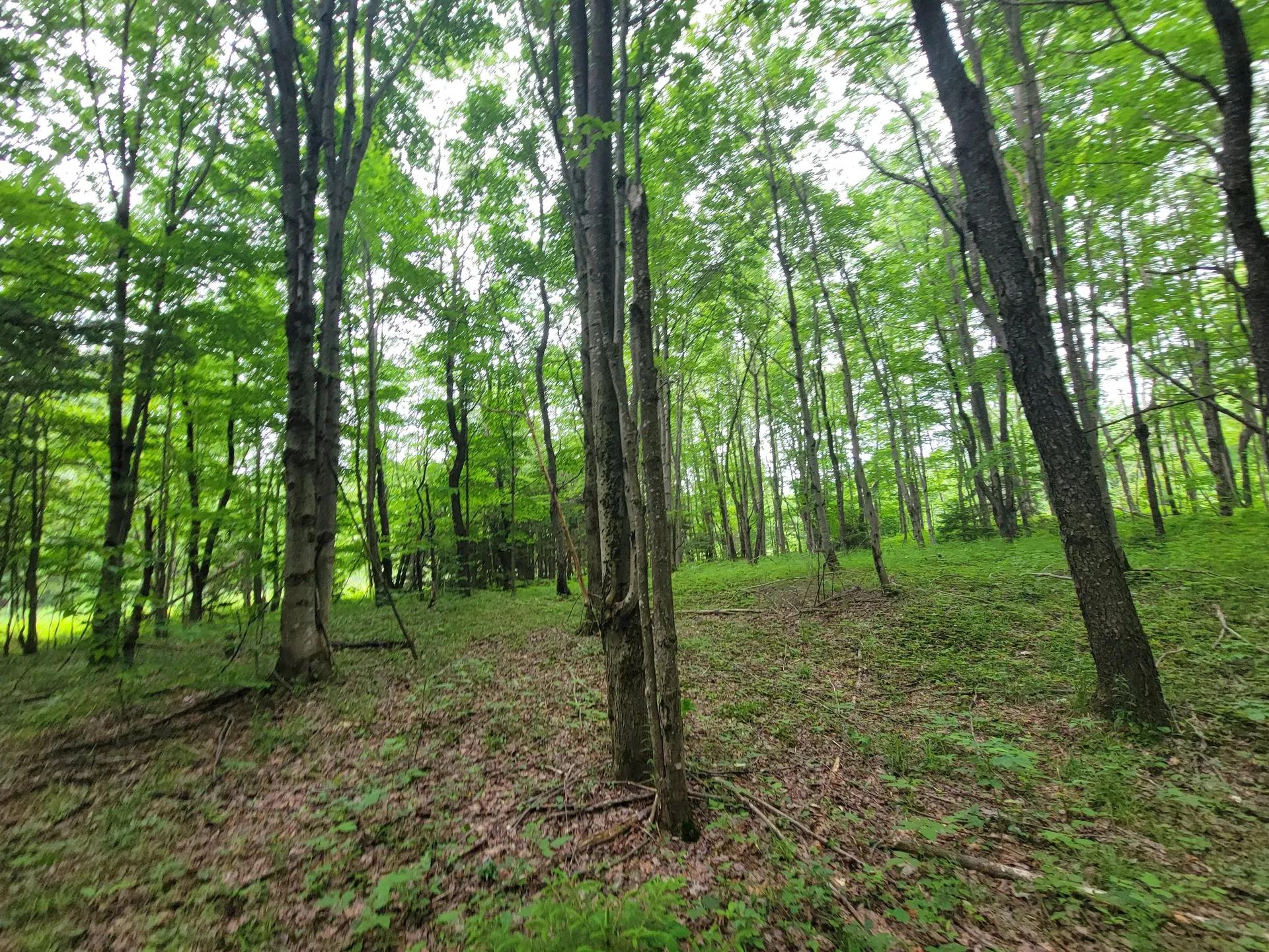 92073443-18