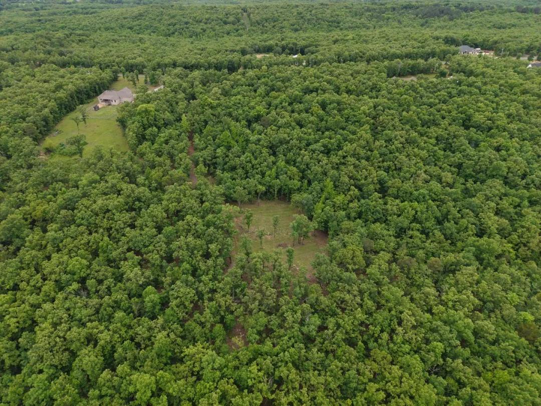 11 Acres in Pulaski County, AR 