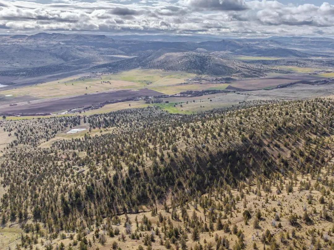 Criterion Ranch
