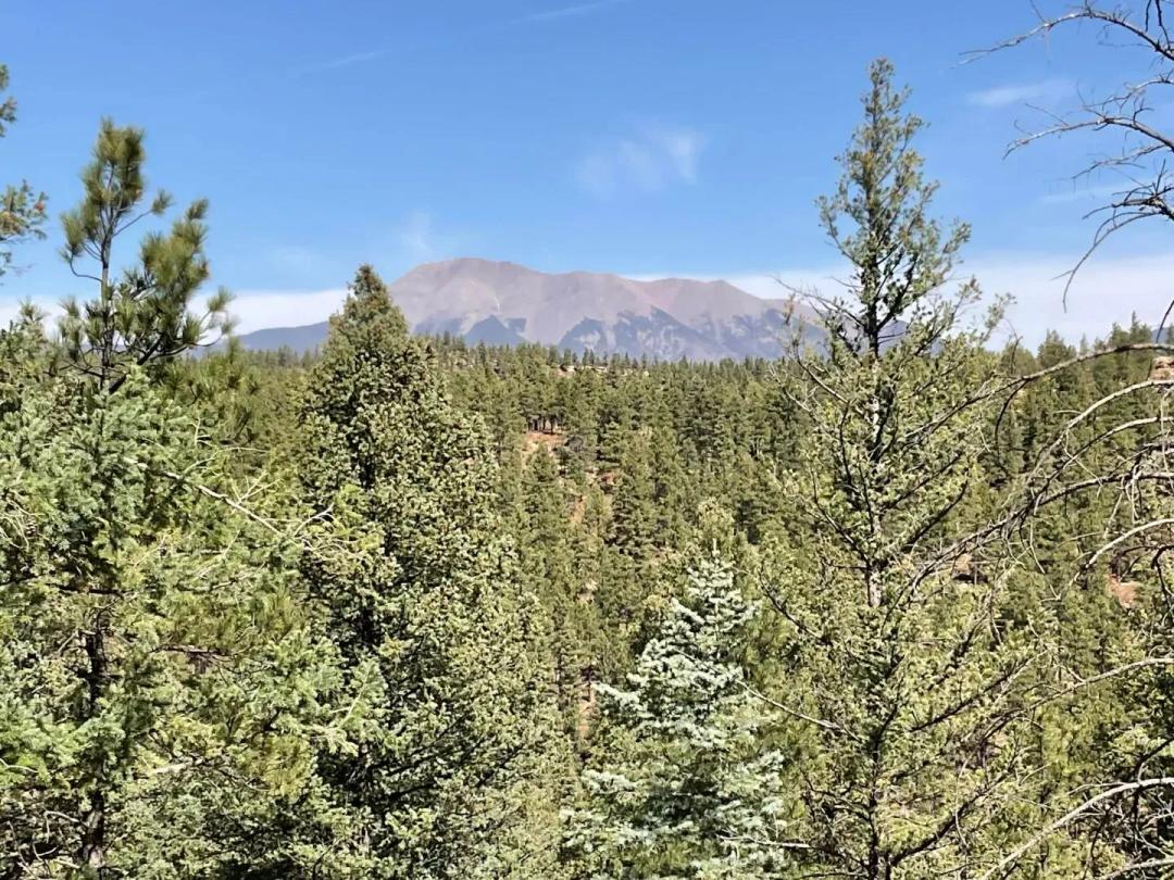 160 Acres San Pablo Canyon, Weston, CO 81091