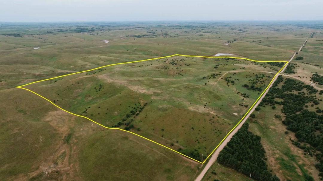 Greeley County Pasture