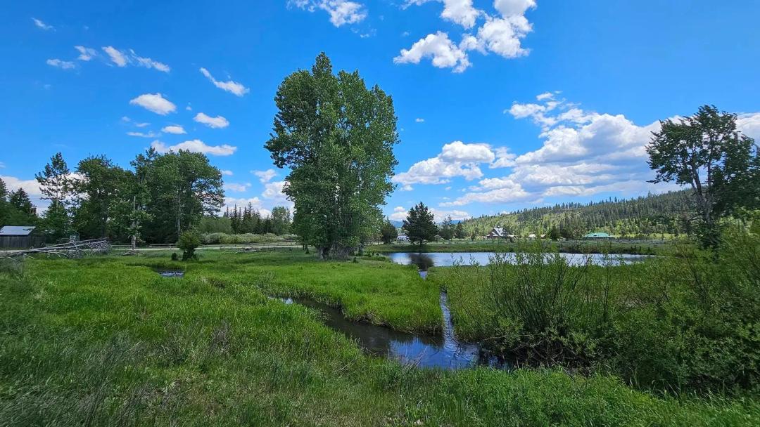 Willow Creek Reserve