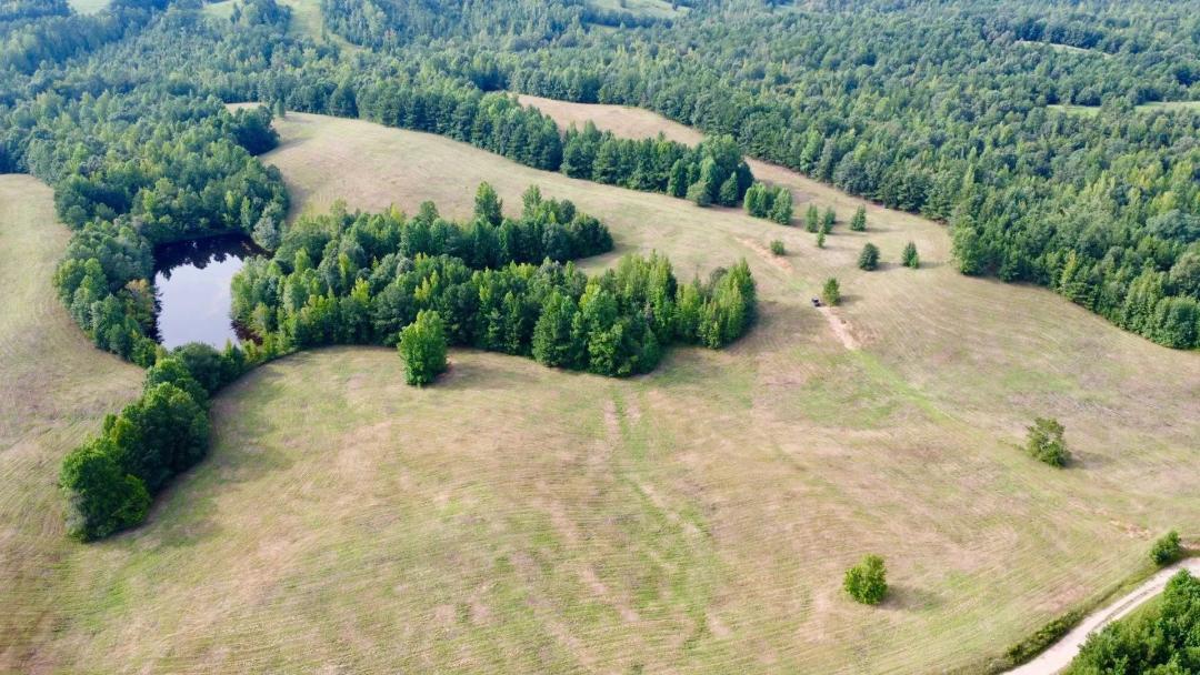 Wilkerson Road 40 | Pasture, Lake, & Homesites | 40 +/- Ac in Clay County
