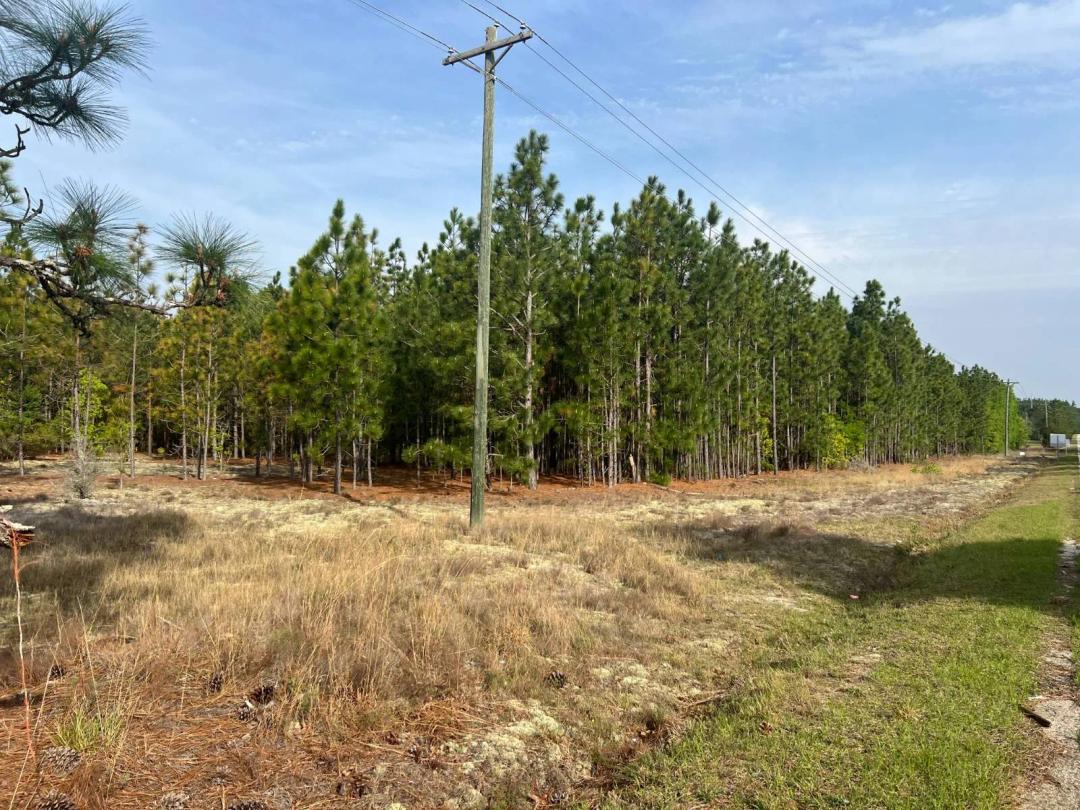 8.5-Acre Tract - Darlington County