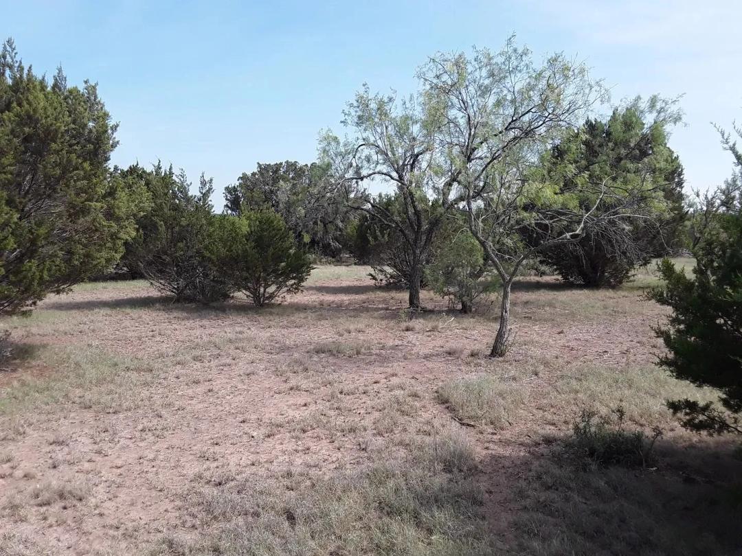 2.28 Acres With Nueces River Access