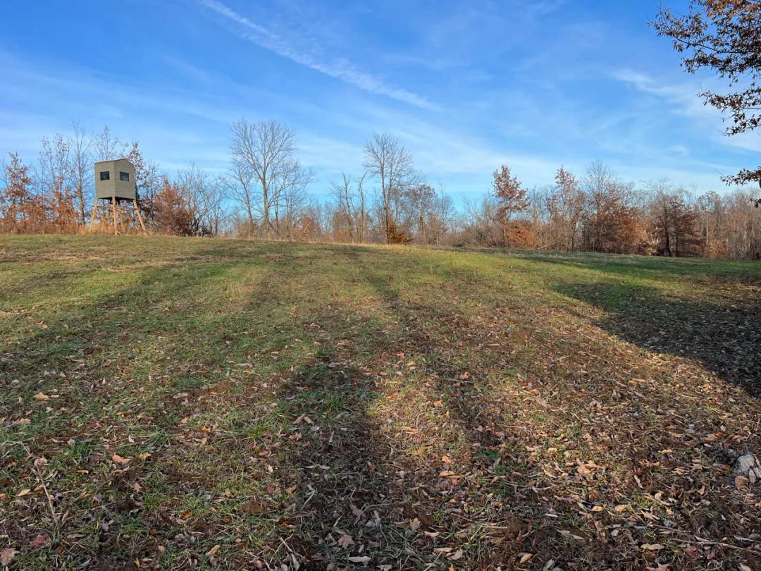 McDonough County, Illinois 49 Acres For Sale(SALE PENDING)