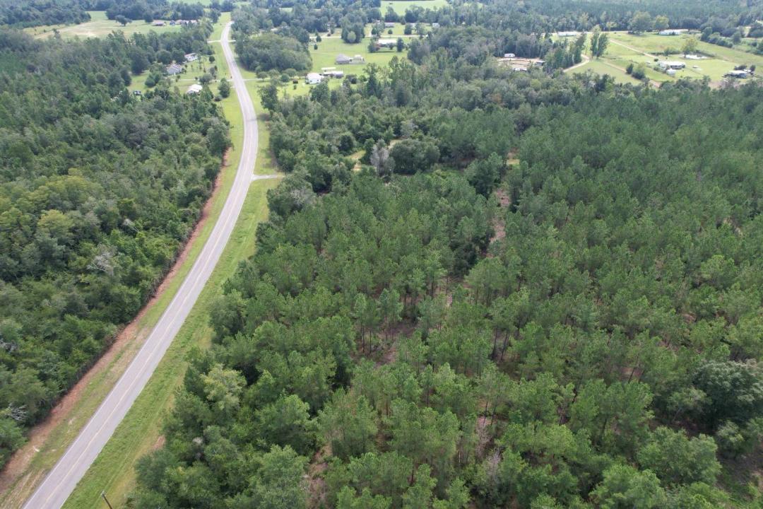 99 +/- Acres - Jackson County - Foxworth Mill Creek Tract