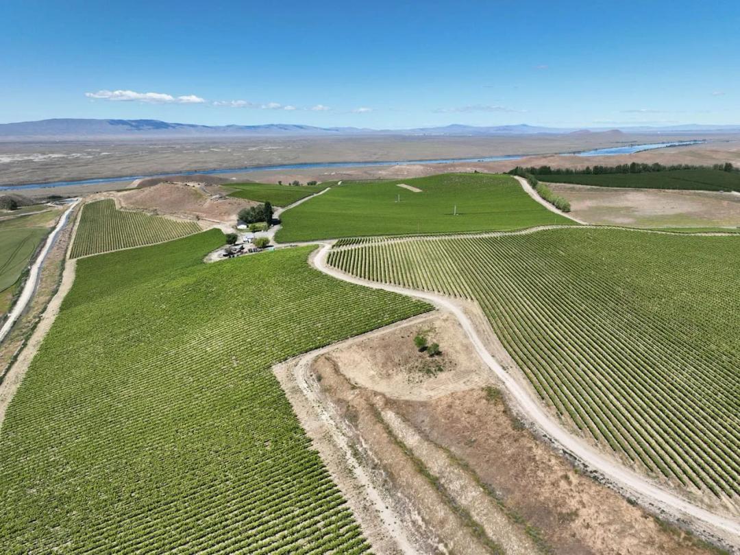 Listing #17645 - 281.90 acres in Franklin County, WA