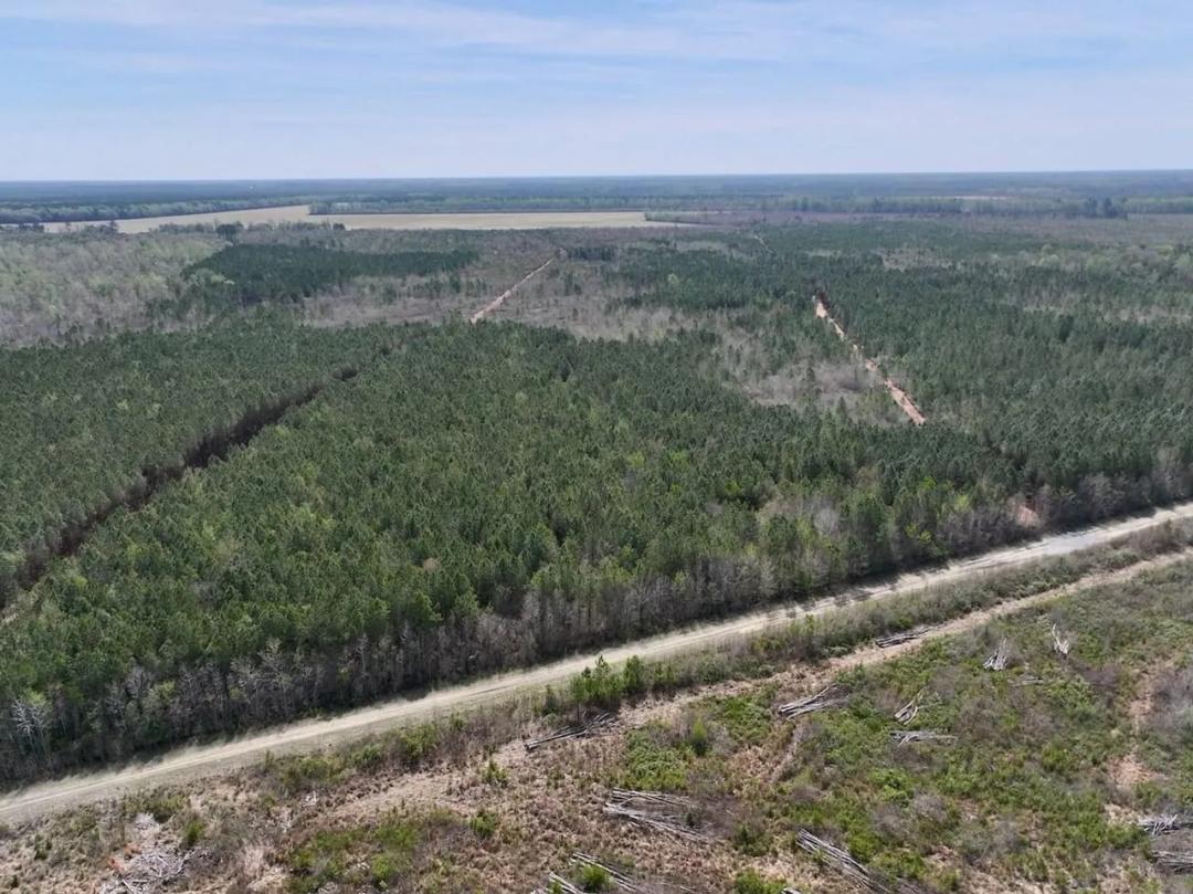 55+/- acres of Recreational Timber Land For Sale in Craven County NC!