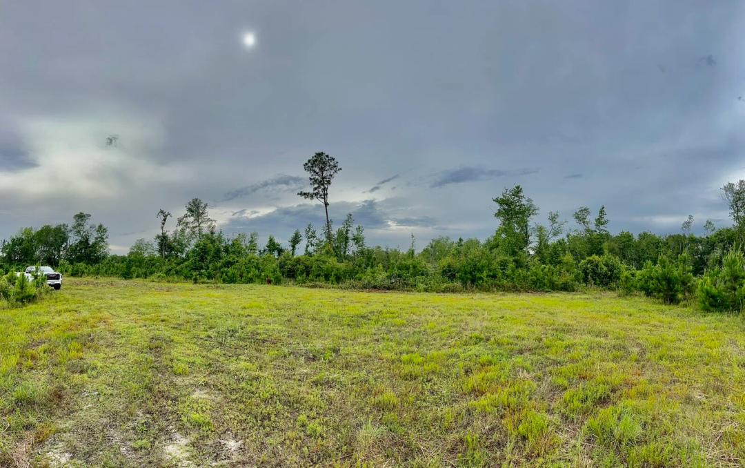 68.74 Acres at 0 Bennett Colter Rd