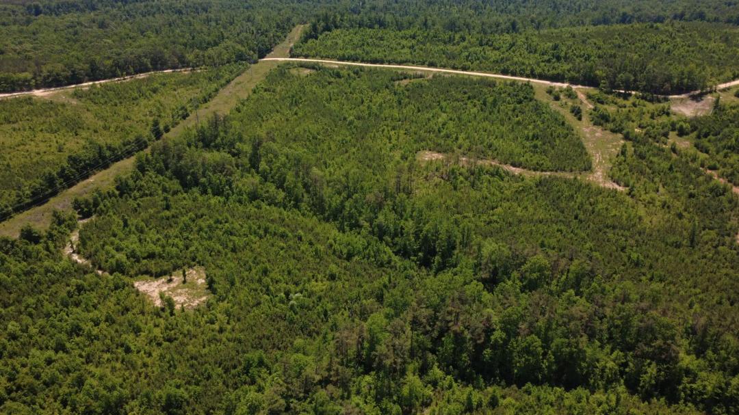 28.20 Acres at 0 Tucker Road