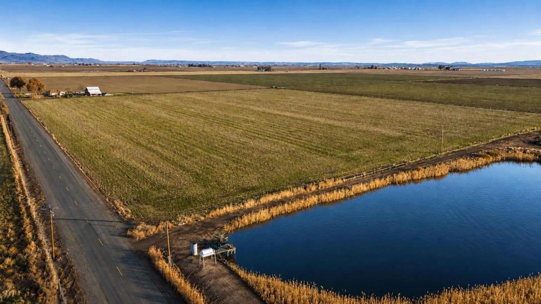 Cascade View Farms