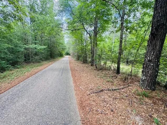 45.9 Acres/ Carters Creek Road/ North Tylertown/ MS