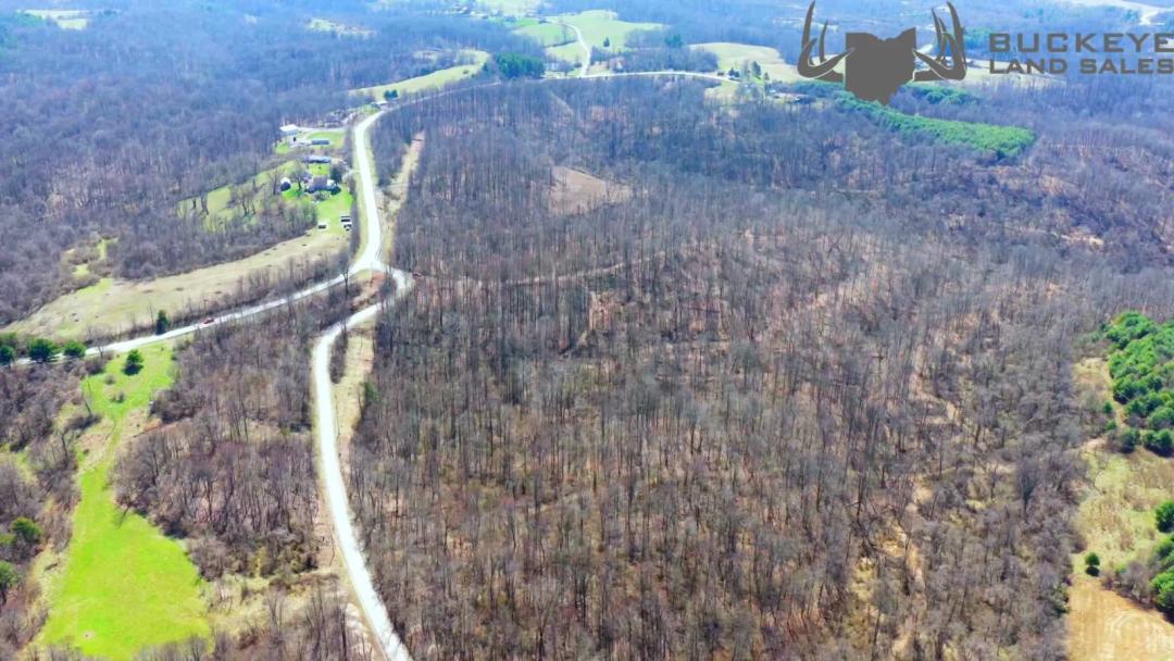 Land for Sale in Noble County Ohio | Trails, Deer, Turkey