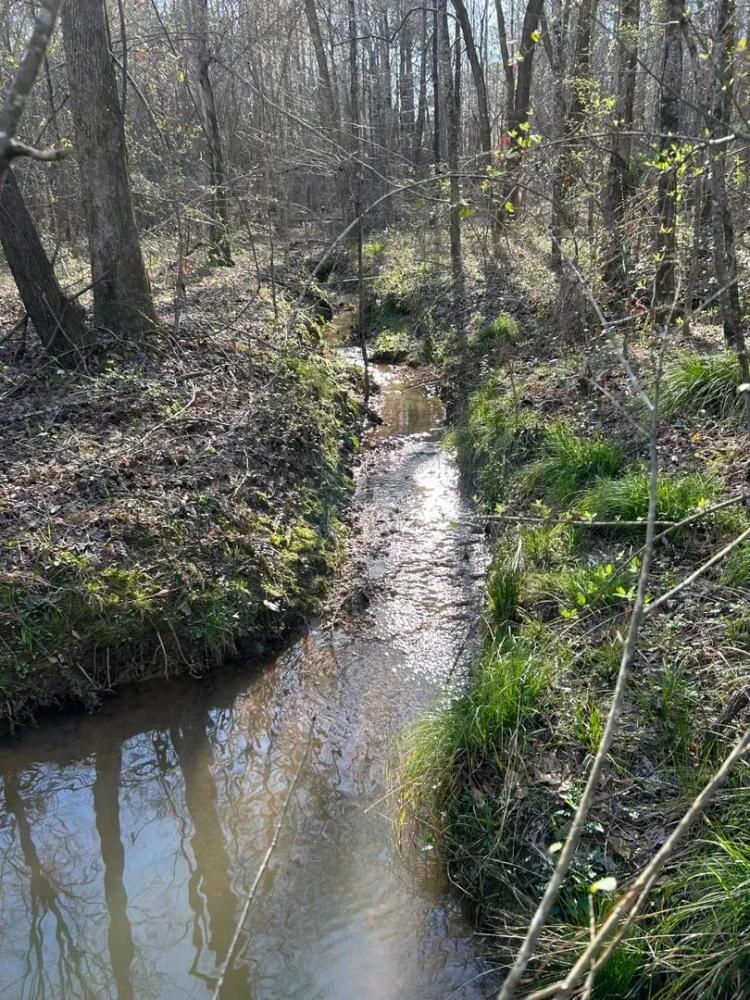 2.64+/-AC HWY 280 in Talladega Cty