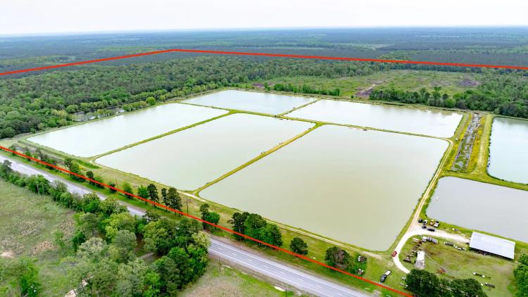 295-Acre Catfish Reserve & Recreational Property in Clarksville TX